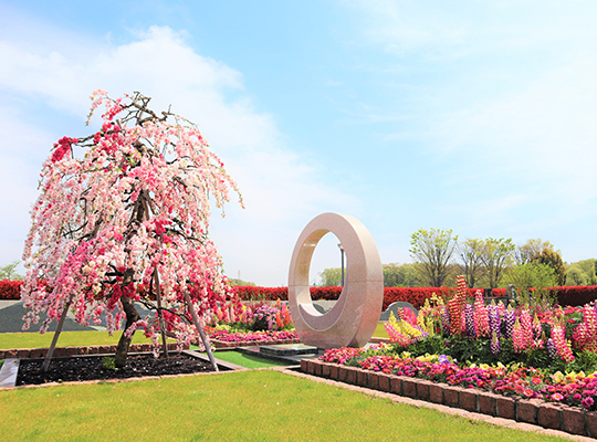 豊かな緑と陽光にかこまれた安らぎの公園墓地