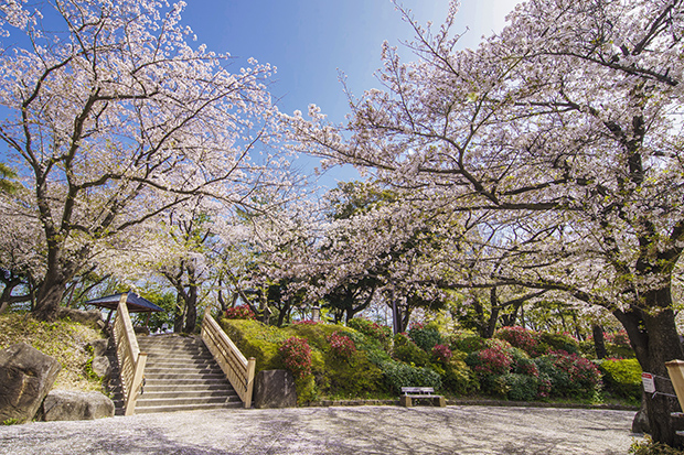 飛鳥山公園