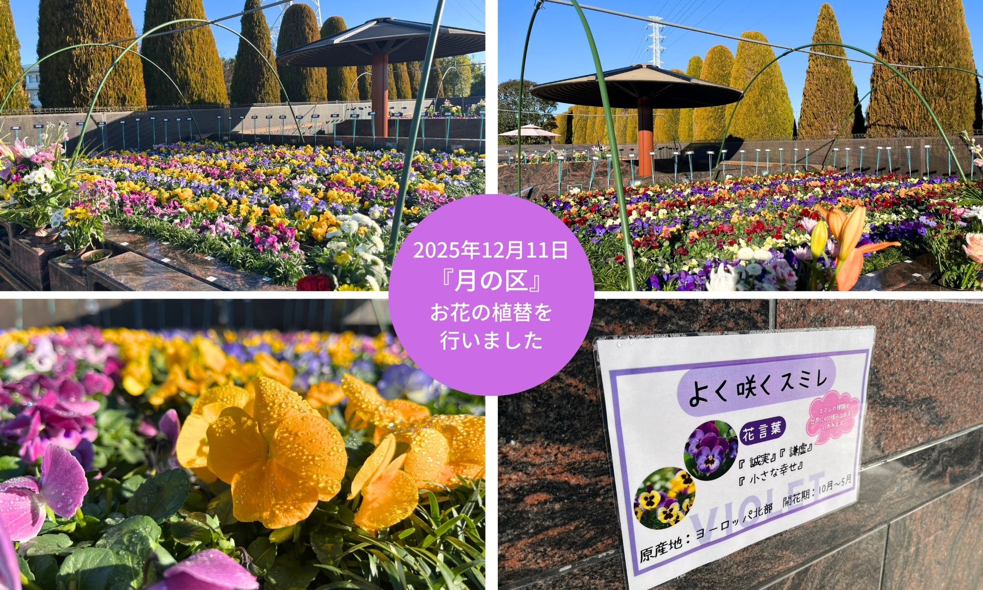 【松戸】『月の区』お花（冬）の植替を行いました