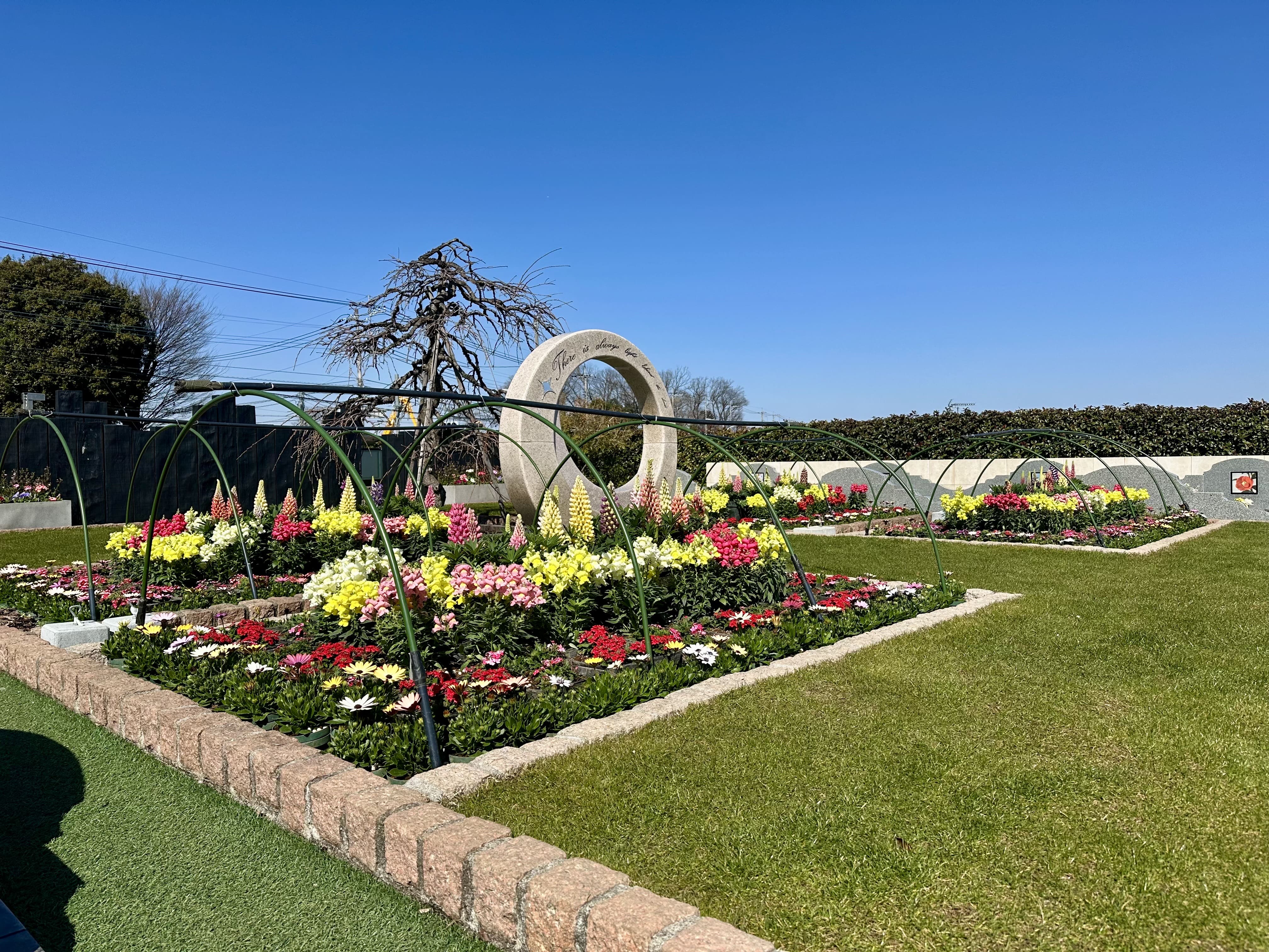 【所沢】お花の植替えを行いました