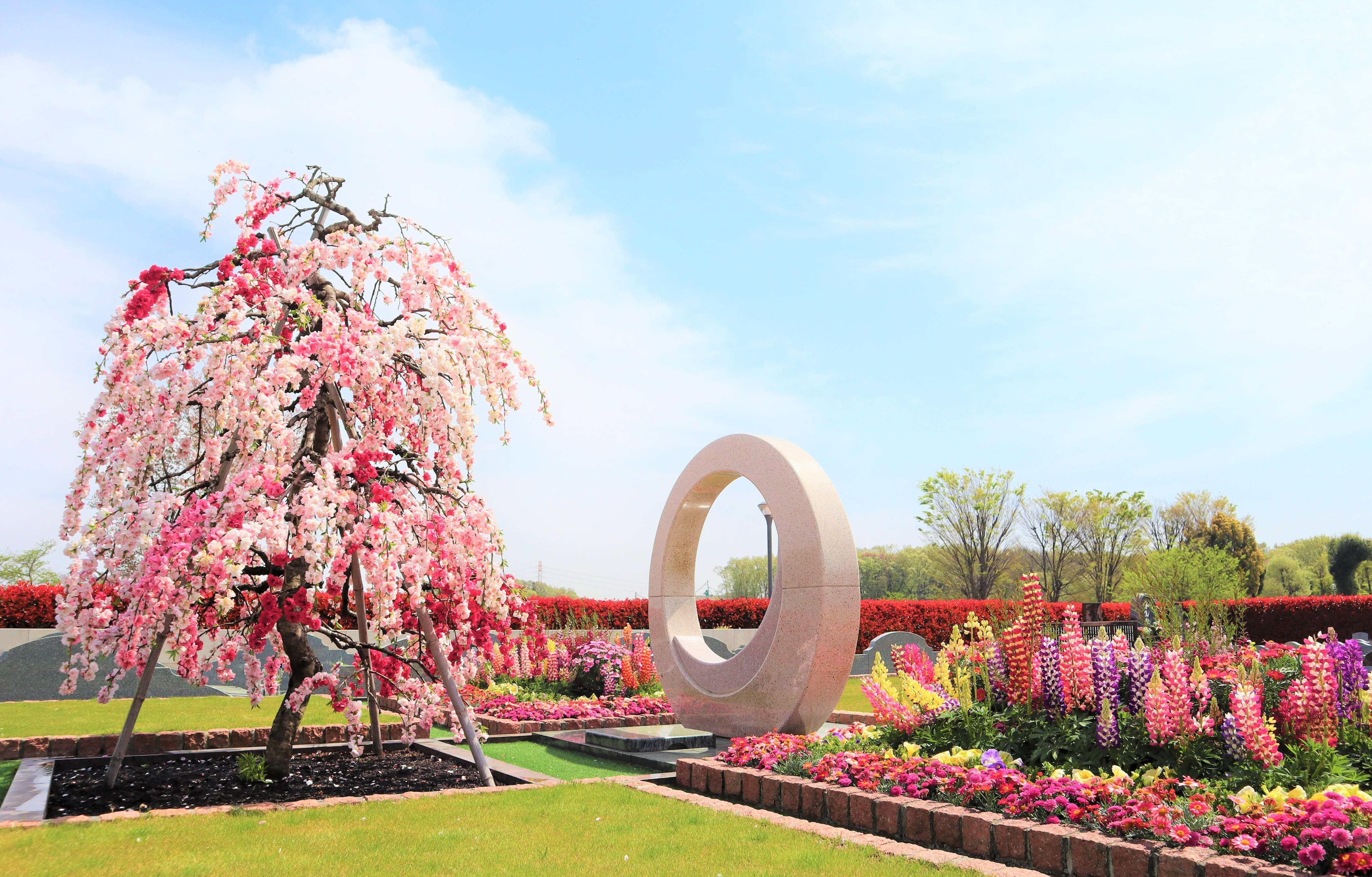 【所沢】桃源郷の源平枝垂れ桃が満開になりました