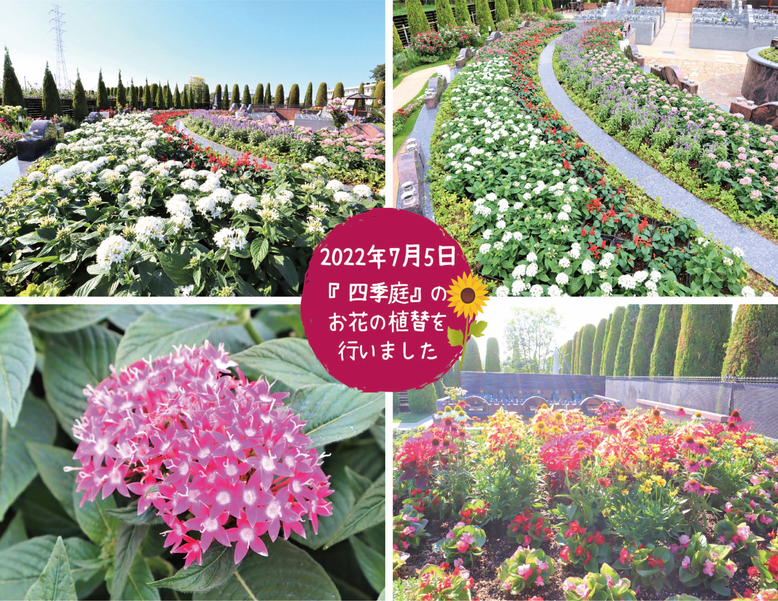 【松戸】『四季庭』お花（夏）植替を行いました