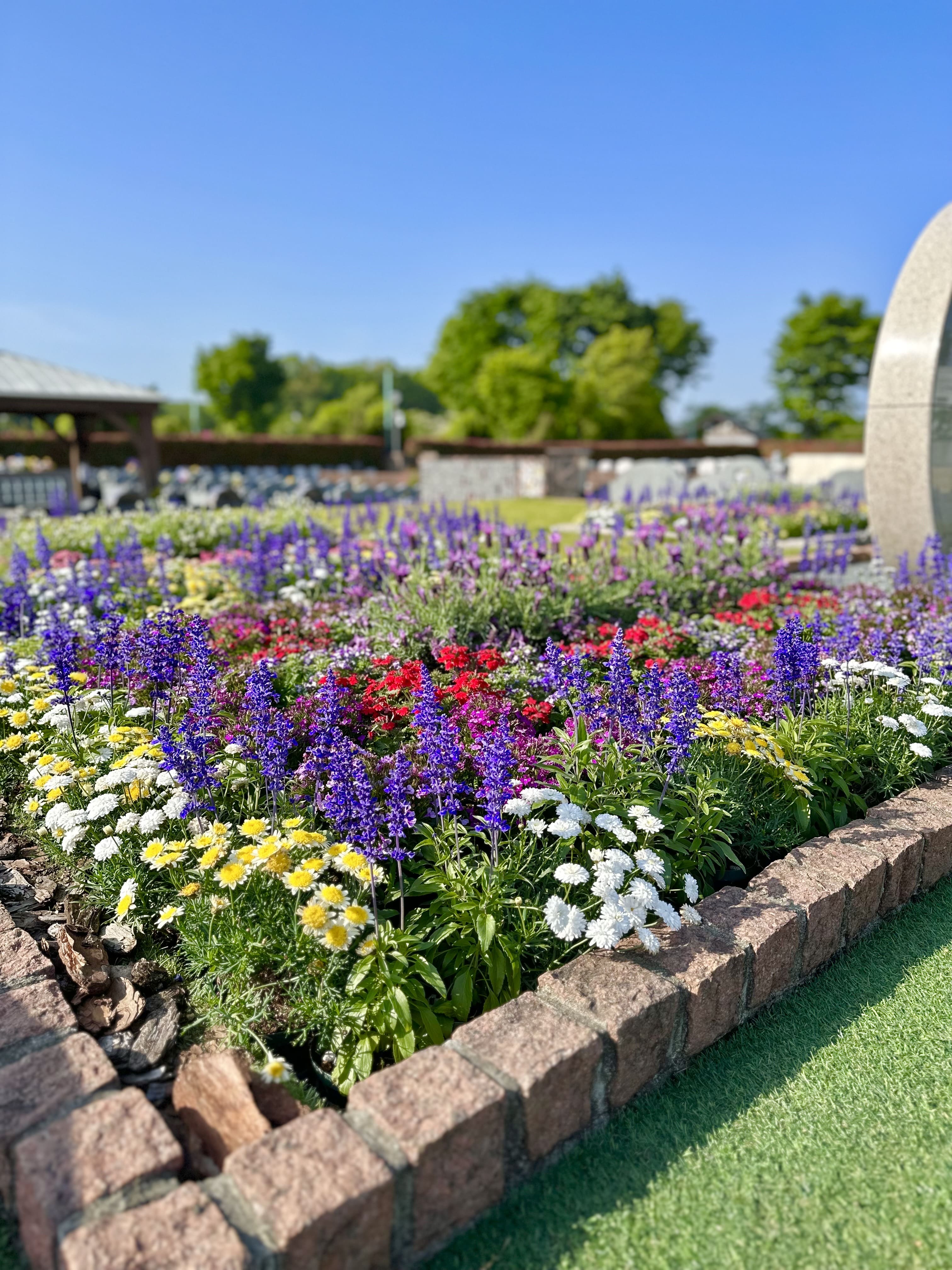 【所沢】お花の植替えを行いました