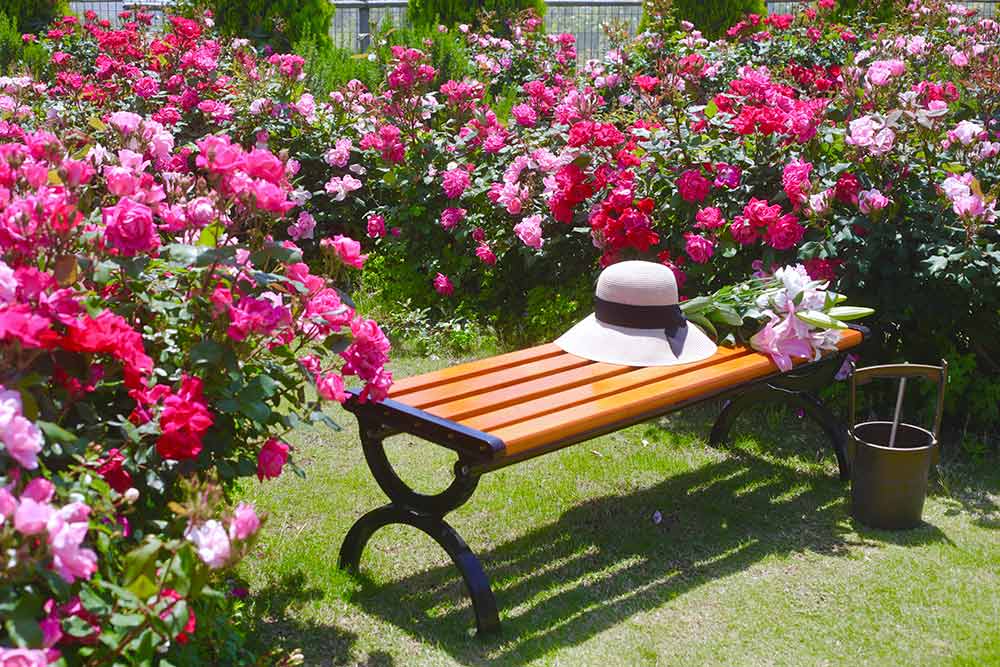【松戸】園芸関係の大手サイト、『ガーデンストーリー』にて特集記事が掲載されました